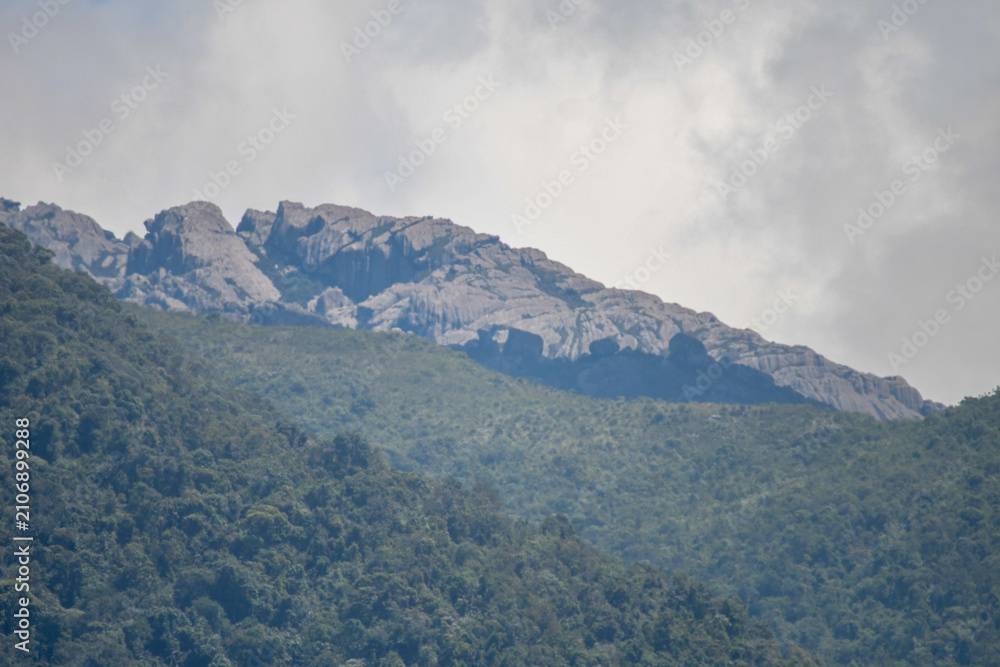 Fototapeta premium Itatiaia in Atlantic Forest