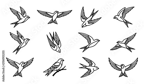 Swift Bird Line Art Vector Bundle with Flying and Perching Outline Illustrations