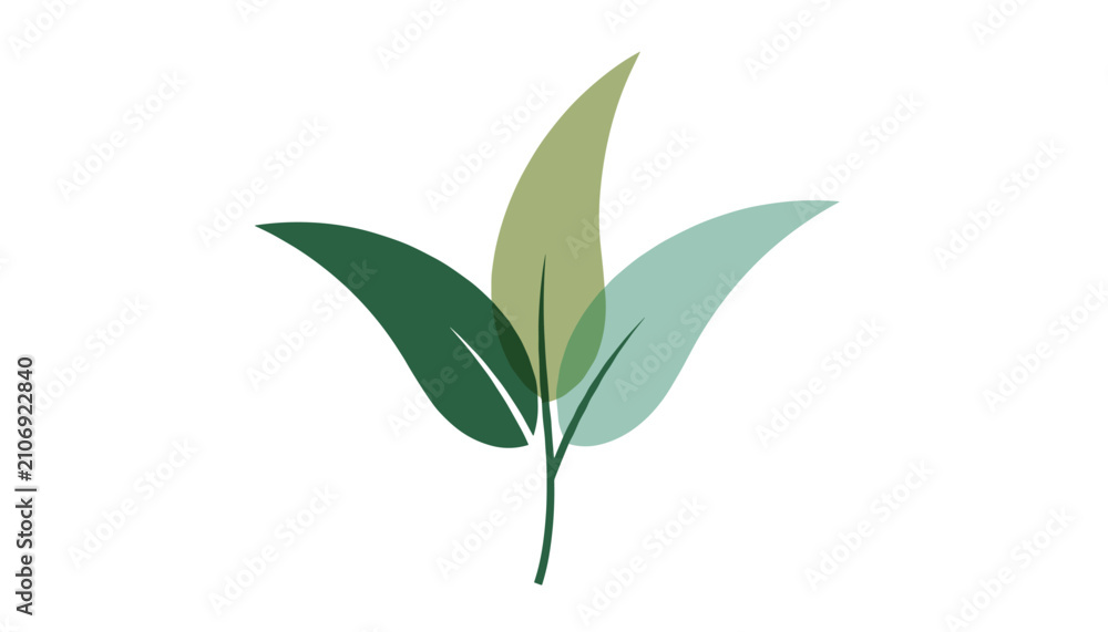 Fototapeta premium Elegant leaf branch vector illustration with three overlapping transparent green leaves on a white background.
