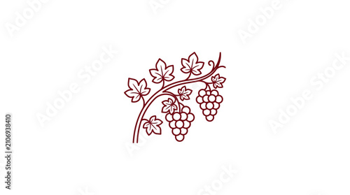 Grapevine branch with leaves and fruit line art.