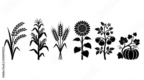 Quadro su tela Collection of stylized farm plants, including corn, wheat, sunflower, tomato, and pumpkin