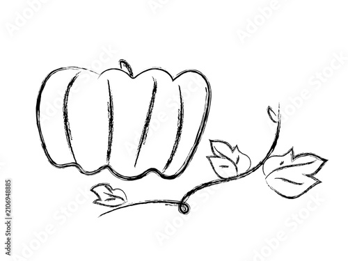 手描き風のかぼちゃ線画イラスト 秋・ハロウィンのデザイン素材