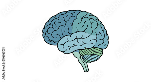 Quadro su tela Human Brain Outline Vector Illustration