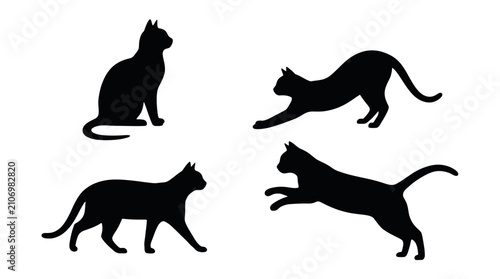 Cuadro en lienzo Four black cat silhouettes in various playful poses during natural movement isol