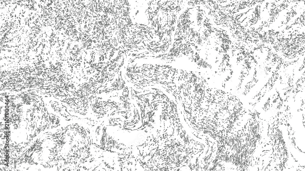 Obraz premium Abstract monochrome texture with dark gray organic flowing lines, stippled patterns, and distressed grainy noise on a white background