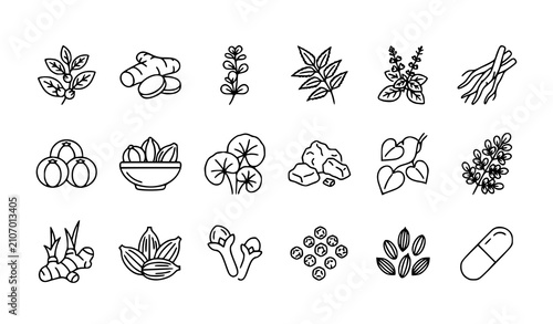 Traditional Ayurvedic Herbal Medicine Outline Icon Pack Featuring Healing Plants and Natural Remedies Vector Set