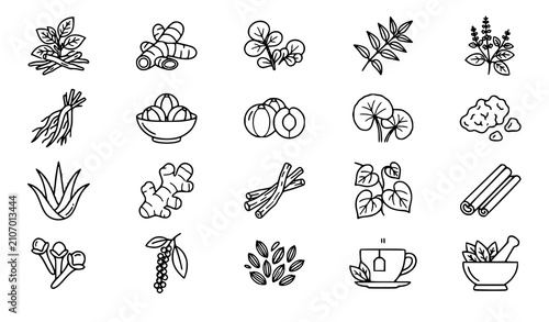 Medical Ayurvedic Herbs Black Contour Illustration Set with Botanical Healing Plants Vector Collection
