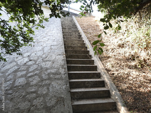 Photos A concrete staircase climbs along a wall of irregular stones, forming a quiet ascent between raw architecture and living nature
