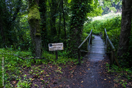 Wooden footbridge and trail sign in a lush green forest on Camino Primitivo