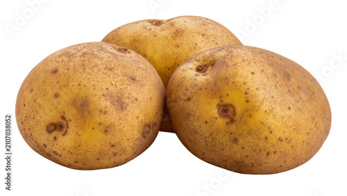 Bild auf Leinwand Isolated group of three fresh raw whole potatoes, healthy organic cooking ingred