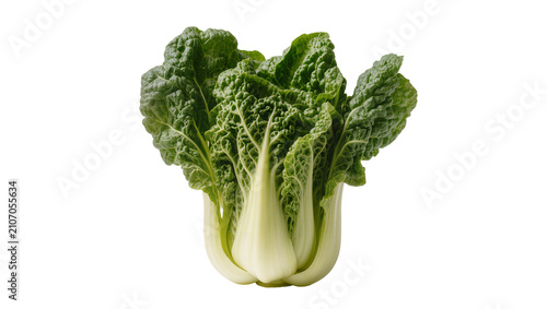 Isolated fresh green healthy organic baby bok choy vegetable, delicious raw food ingredient