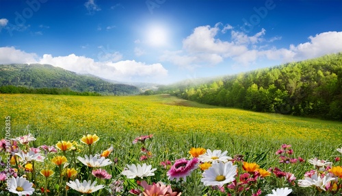 Flower Meadow In Spring Transparent Background