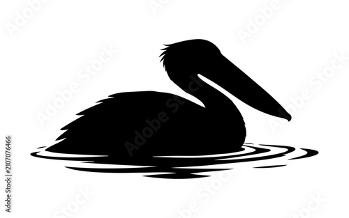 Silhouette of a pelican bird floating and swimming on water ripples in side profile view