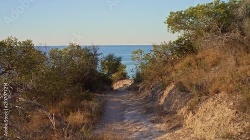 A path winds through grass and bushes, guiding visitors towards the ocean. The sun shines brightly, creating a warm atmosphere as trees frame the view.