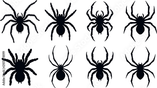 Fotografie Halloween spider black silhouette icon collection featuring creepy tarantula arachnid shape vectors for spooky holiday party graphic designs