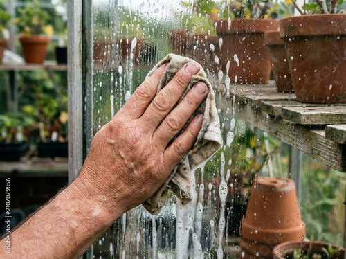 Person cleaning a glass greenhouse window with a cloth in a garden nursery