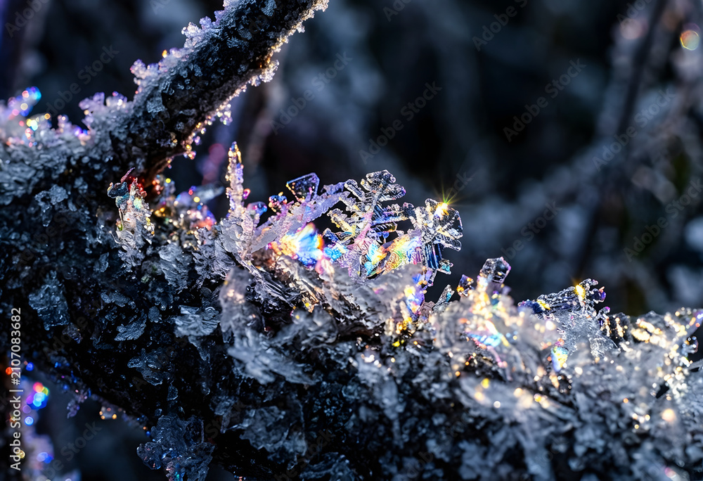 Obraz premium Prismatic ice crystals reflecting rainbow light on winter branch