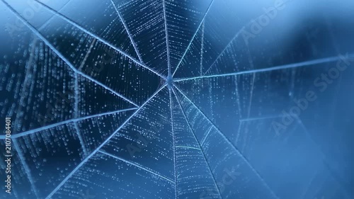 Close-up view of a spider web glistening with dew drops, showcasing intricate patterns and textures against a blurred blue background in a natural setting