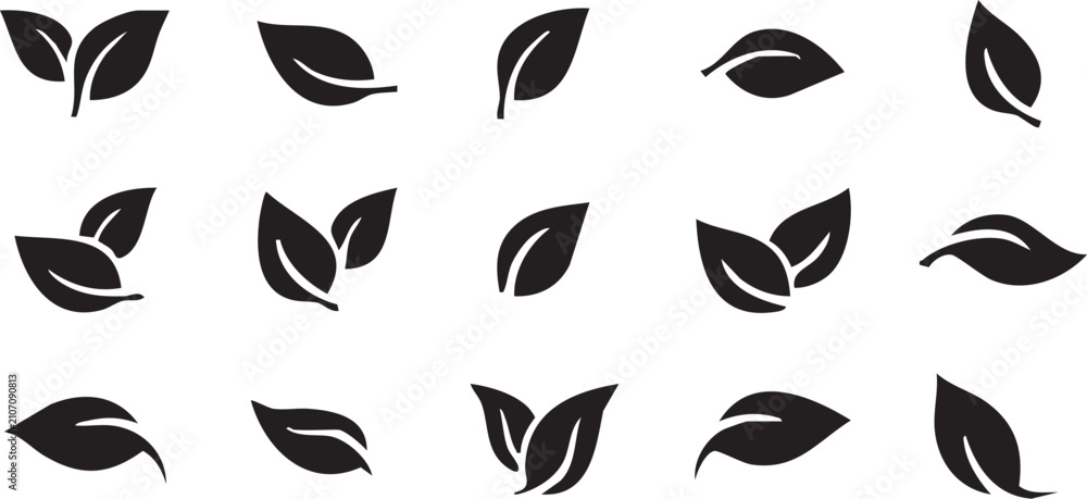 Fototapeta premium Collection Of Black Leaf Silhouettes Vector Illustration On White Background