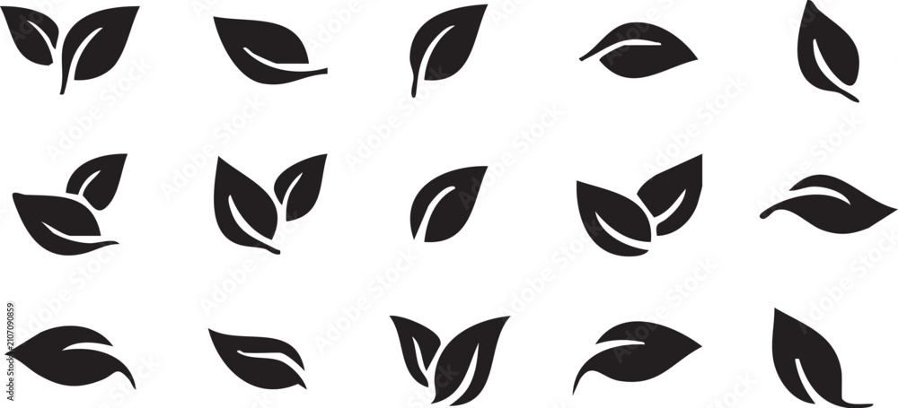 Fototapeta premium Black Leaf Silhouettes A Set Of Vector Illustrations On White Background