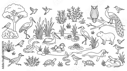 Cute pond ecosystem with animals birds and plants landscape drawing in line art style.