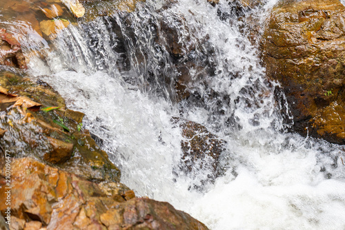 Schilderij op canvas Fast flowing water churning over wet brown rocks in a natural forest river rapid