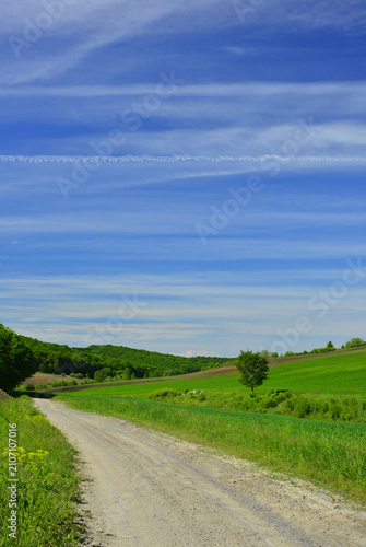 Bild auf Leinwand A long road that merges in the distance, on the horizon, with the blue sky and altostratus clouds, on a spring day out on a hike