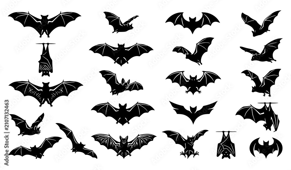 Fototapeta premium SEO Title: Premium Bat Silhouette Collection with Flying Hanging and Logo Style Vector Shapes