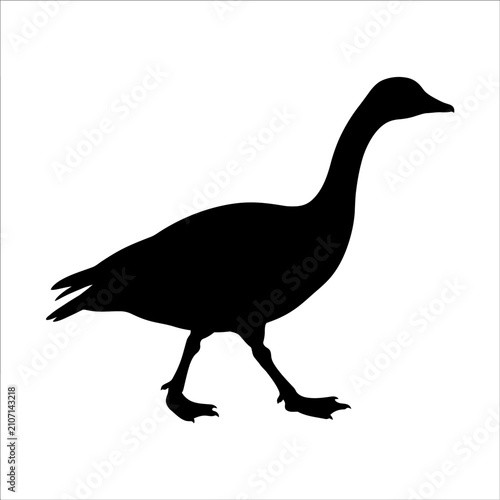 Foto Black goose silhouette vector, walking waterfowl bird profile, minimalist wild g