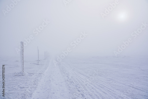 Fotografía Whiteout on Snowy Mountain Trail