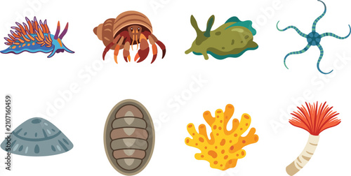 Marine Invertebrate Sea Creatures Vector Icon Set with Colorful Ocean Life Collection