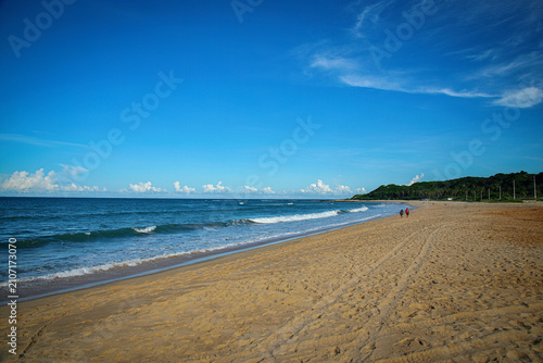 Tableau sur toile Praia de baia formosa - Rio Grande do Norte