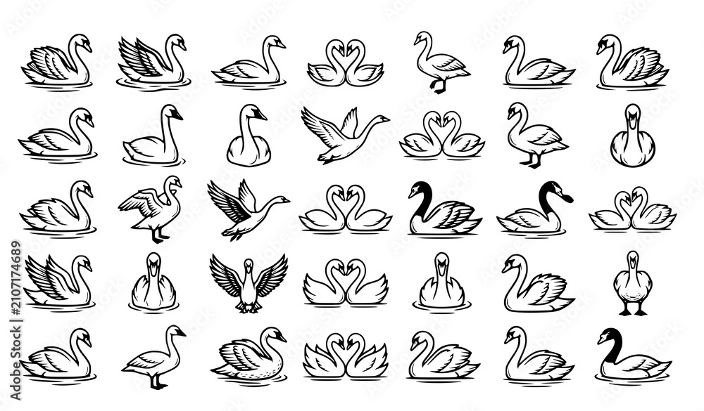 Fototapeta premium 30 Black and White Swan Bird Outline Vector Collection Isolated on White Background
