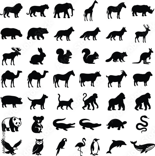 Photography Comprehensive collection of various wild and domestic animal