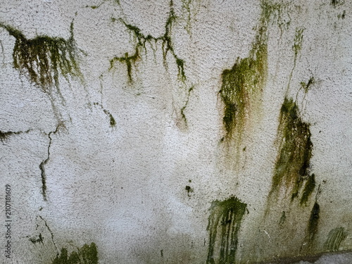 A close-up, straight-on view of an aged, weathered concrete exterior wall featuring damp stains, cracks, and patches of green moss growth running down the textured surface.