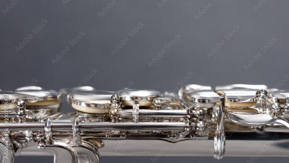 Obraz premium Macro Silver Flute Keys with Minimal Background