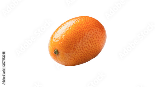 Foto Single beautiful fresh ripe orange oblong kumquat fruit asset isolated on transp