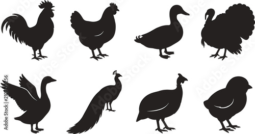 Fotografie Domestic and ornamental bird silhouette collection featuring rooster, hen, duck,