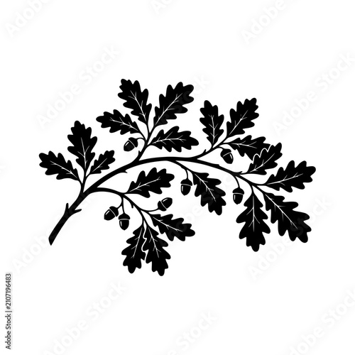 Oak branch with acorns silhouette vector illustration
