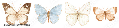 Watercolor butterfly collection with blue, white and brown butterflies