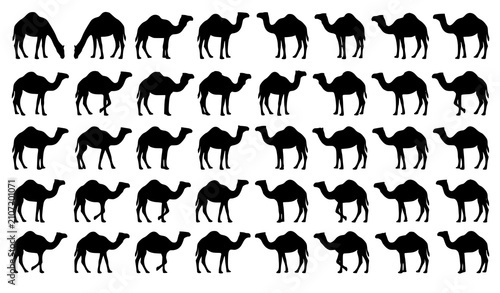 Photography Black Dromedary Camel Silhouette Vector Set with One Hump Desert Camel Collectio