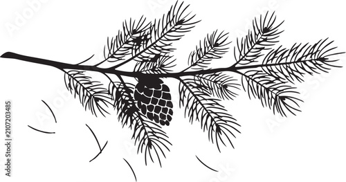 Silhouette of a pine branch with a cone and falling needles on white