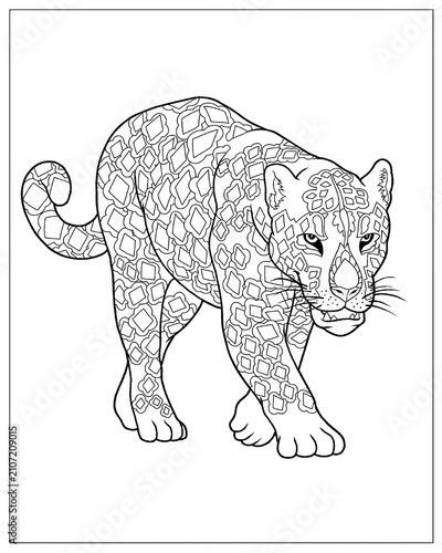 Photography Animal Pattern Coloring Pages – Detailed Wildlife Coloring Book Collection