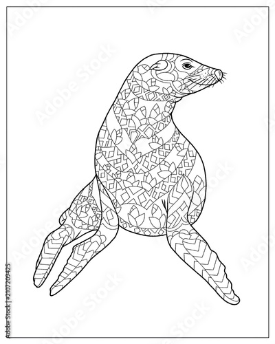 Photography Animal Pattern Coloring Pages – Detailed Wildlife Coloring Book Collection