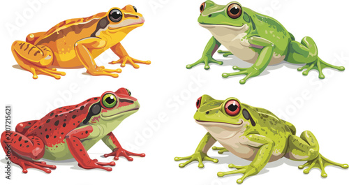 Canvastavla Colorful Frog Species Collection with Realistic Detailed Amphibian Wildlife Vect