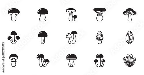 Foto Different mushroom types icon set containing chanterelle morel and champignon edible fungus varieties vector