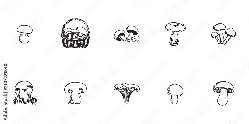 Fototapeta premium Collection of hand drawn mushrooms and basket isolated on transparent background vector illustration.