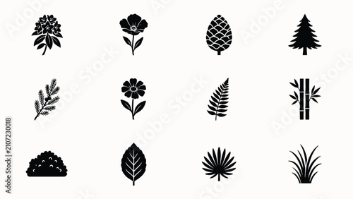 Valokuva Minimalist black and white botanical illustrations collection of nature elements