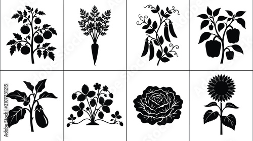 Foto Garden plants and vegetables silhouettes set including tomato carrot pea bell pe