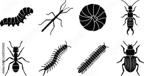 Foto Insects and Crawling Bugs Silhouette Set Featuring Caterpillar, Stick Insect, Pi